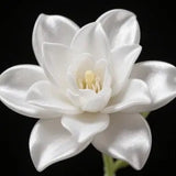3D Printed Jasmine