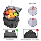 Insulated Cooler Backpack, Waterproof Backpack Cooler Leakproof Insulated Backpack Soft Cooler Bag Lightweight Portable Cooler for Lunch Camping Travel Beach Fishing Hiking Picnic Beer for Men, Grey